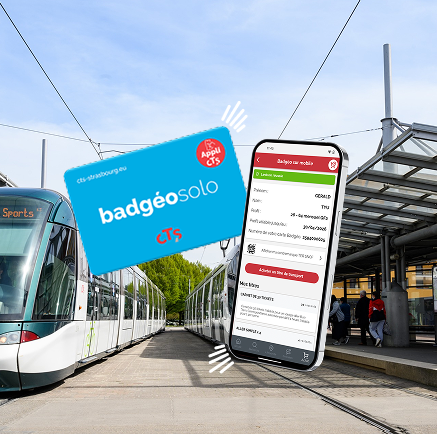 Vous voyagez régulièrement ? 